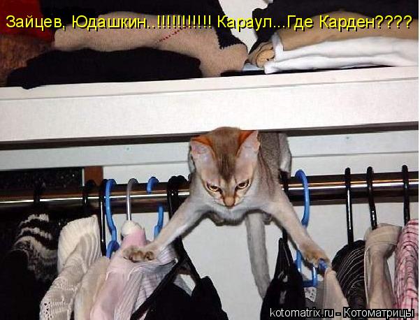 Зайцев, Юдашкин..!!!!!!!!!!! Караул...Где Карден????... Котоматрица: Зайцев, Юдашкин..!!!!!!!!!!! Караул...Где Карден????