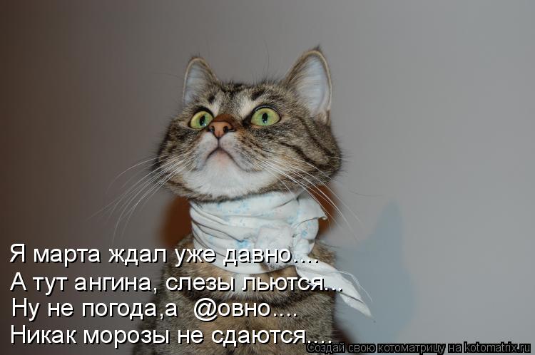 Я марта ждал уже давно.... А тут ангина, слезы льются... Ну не погода,а @овно.... Никак морозы не сд... Котоматрица: Я марта ждал уже давно.... А тут ангина, слезы льются... Ну не погода,а @овно.... Никак морозы не сдаются....