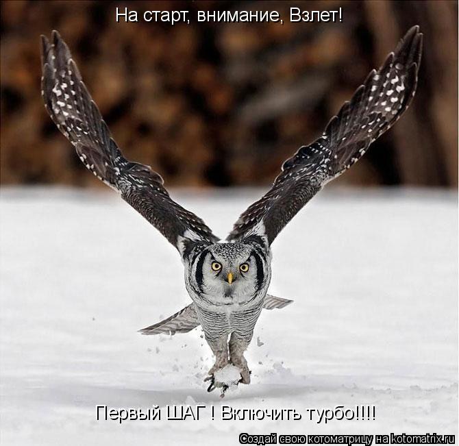 На старт, внимание, Взлет! Первый ШАГ ! Включить турбо!!!!... Котоматрица: На старт, внимание, Взлет! Первый ШАГ ! Включить турбо!!!!