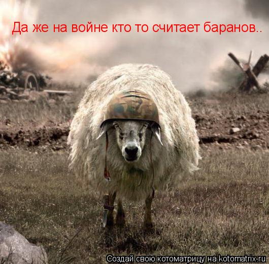 Да же на войне кто то считает баранов..... Котоматрица: Да же на войне кто то считает баранов..