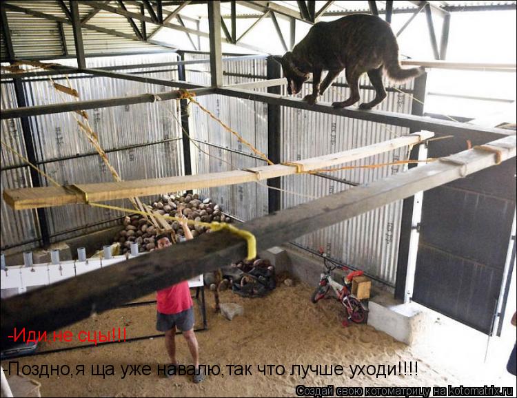 -Иди,не сцы!!! -Поздно,я ща уже навалю,так что лучше уходи!!!!... Котоматрица: -Иди,не сцы!!! -Поздно,я ща уже навалю,так что лучше уходи!!!!