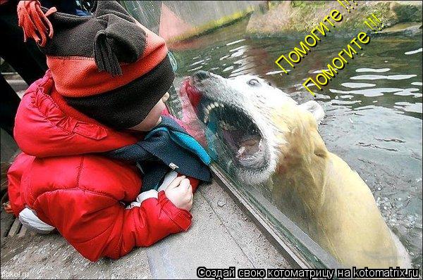 Помогите !!! Помогите !!!... Котоматрица: Помогите !!! Помогите !!!