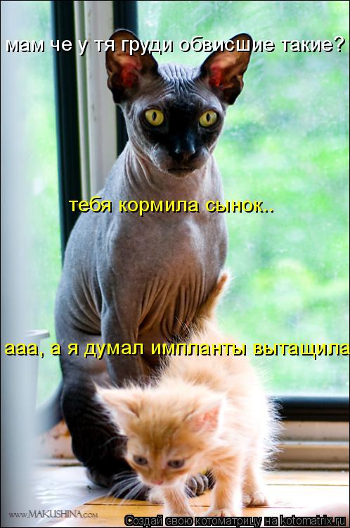 мам че у тя груди обвисшие такие? тебя кормила сынок.. ааа, а я думал импланты вытащила... Котоматрица: мам че у тя груди обвисшие такие? тебя кормила сынок.. ааа, а я думал импланты вытащила