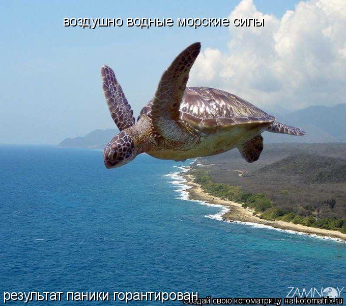 воздушно водные морские силы результат паники горантирован... Котоматрица: воздушно водные морские силы результат паники горантирован