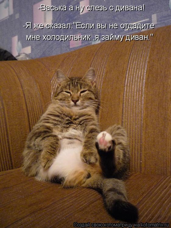 -Я же сказал:"Если вы не отдадите мне холодильник ,я займу диван." -Васька а ну слезь с дивана!... Котоматрица: -Я же сказал:"Если вы не отдадите мне холодильник ,я займу диван." -Васька а ну слезь с дивана!