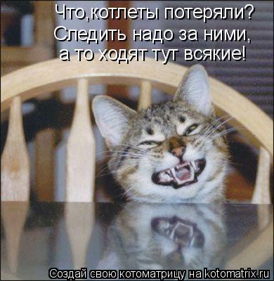 Следить надо за ними, а то ходят тут всякие! Что,котлеты потеряли?... Котоматрица: Следить надо за ними, а то ходят тут всякие! Что,котлеты потеряли?