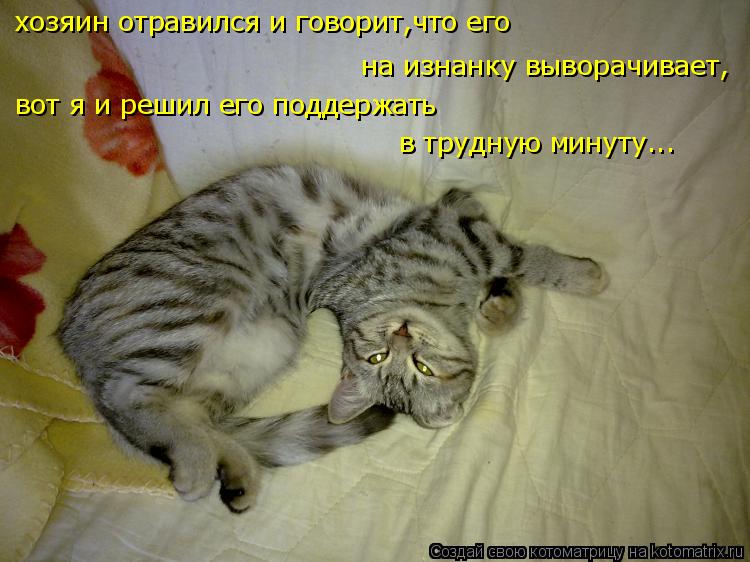 хозяин отравился и говорит,что его на изнанку выворачивает, вот я и решил его поддержать в трудную... Котоматрица: хозяин отравился и говорит,что его на изнанку выворачивает, вот я и решил его поддержать в трудную минуту...