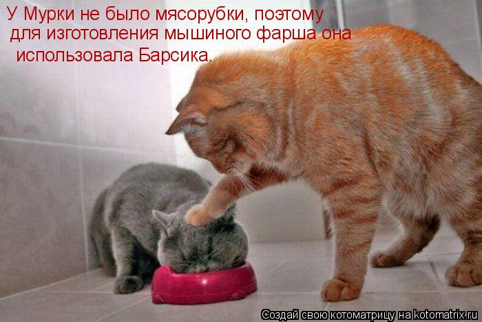 У Мурки не было мясорубки, поэтому для изготовления мышиного фарша она использовала Барсика.... Котоматрица: У Мурки не было мясорубки, поэтому для изготовления мышиного фарша она использовала Барсика.
