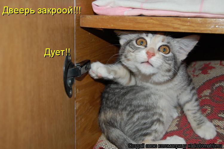 Двеерь закроой!!! Дует!!... Котоматрица: Двеерь закроой!!! Дует!!