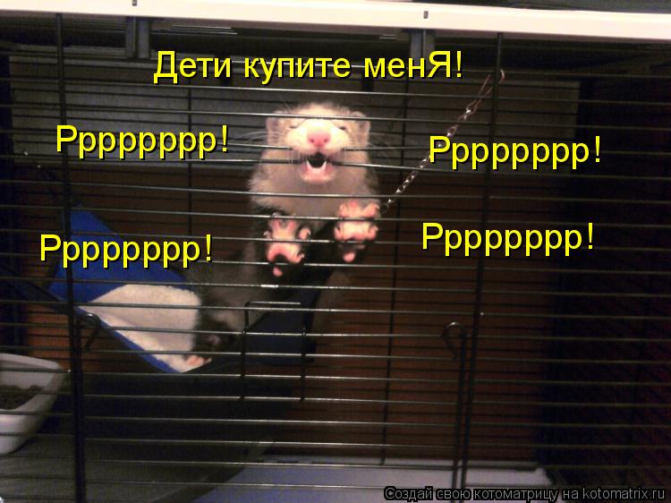 Дети купите менЯ! Рррррррр! Рррррррр! Рррррррр! Рррррррр!... Котоматрица: Дети купите менЯ! Рррррррр! Рррррррр! Рррррррр! Рррррррр!