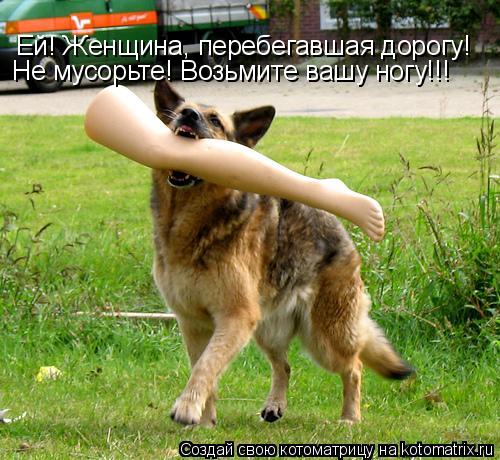 Ей! Женщина, перебегавшая дорогу! Не мусорьте! Возьмите вашу ногу!!!... Котоматрица: Ей! Женщина, перебегавшая дорогу! Не мусорьте! Возьмите вашу ногу!!!