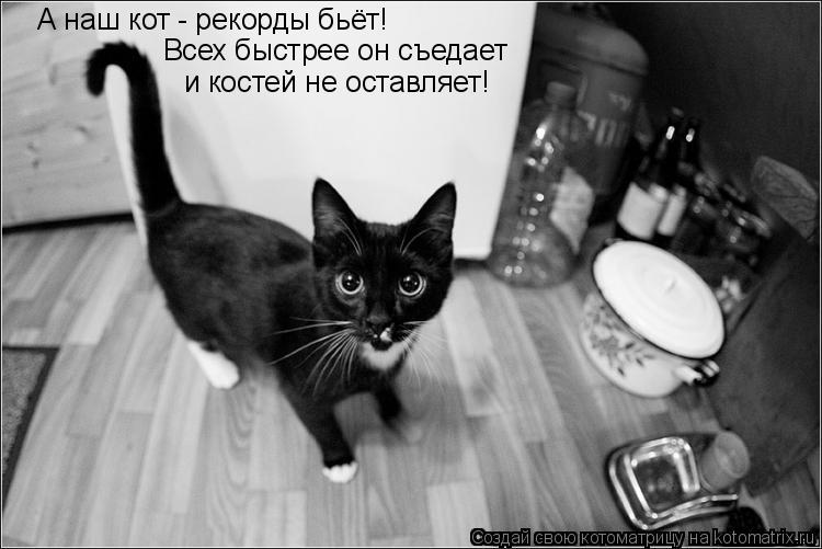 А наш кот - рекорды бьёт! Всех быстрее он съедает и костей не оставляет!... Котоматрица: А наш кот - рекорды бьёт! Всех быстрее он съедает и костей не оставляет!