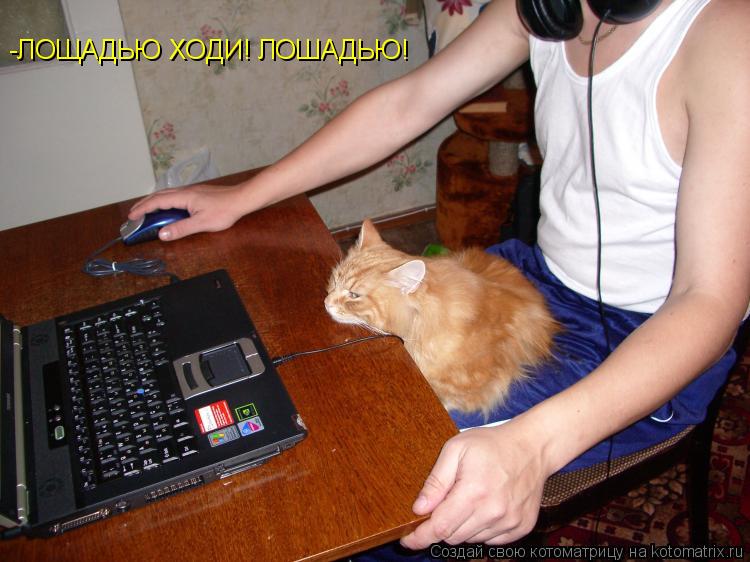 -ЛОЩАДЬЮ ХОДИ! ЛОШАДЬЮ!... Котоматрица: -ЛОЩАДЬЮ ХОДИ! ЛОШАДЬЮ!
