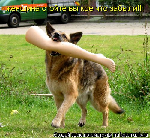 женщина стойте вы кое что забыли!!!... Котоматрица: женщина стойте вы кое что забыли!!!