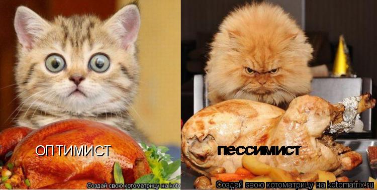 ОПТИМИСТ пессимист пессимист... Котоматрица: ОПТИМИСТ пессимист пессимист