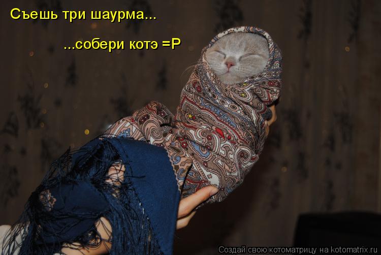 Съешь три шаурма... ...собери котэ =P... Котоматрица: Съешь три шаурма... ...собери котэ =P