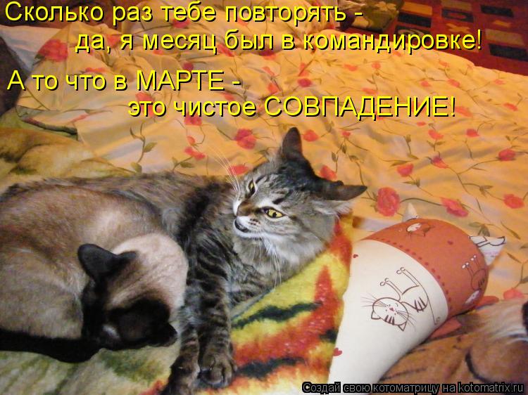 А то что в МАРТЕ - это чистое СОВПАДЕНИЕ! да, я месяц был в командировке! Сколько раз тебе повторять... Котоматрица: А то что в МАРТЕ - это чистое СОВПАДЕНИЕ! да, я месяц был в командировке! Сколько раз тебе повторять -