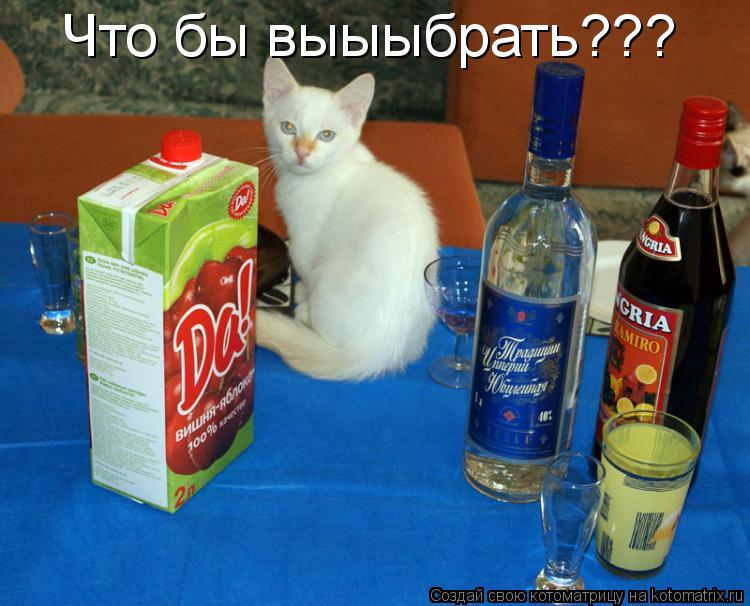 Что бы выыыбрать???... Котоматрица: Что бы выыыбрать???