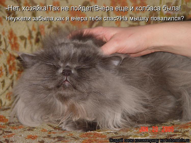 -Нет, хозяйка!Так не пойдет!Вчера еще и колбаса была! Неужели забыла,как я вчера тебя спас?На мышку п... Котоматрица: -Нет, хозяйка!Так не пойдет!Вчера еще и колбаса была! Неужели забыла,как я вчера тебя спас?На мышку повалился?
