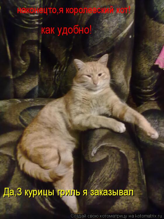 наконецто,я королевский кот! как удобно! Да,3 курицы гриль я заказывал... Котоматрица: наконецто,я королевский кот! как удобно! Да,3 курицы гриль я заказывал