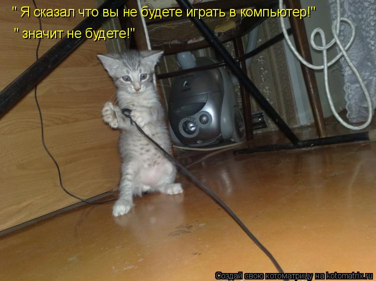 " Я сказал что вы не будете играть в компьютер!" " значит не будете!"... Котоматрица: " Я сказал что вы не будете играть в компьютер!" " значит не будете!"