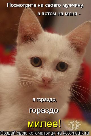 Посмотрите на своего мужчину, а потом на меня - я гораздо, гораздо милее!... Котоматрица: Посмотрите на своего мужчину, а потом на меня - я гораздо, гораздо милее!