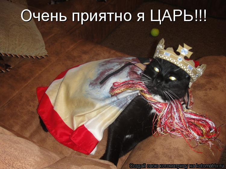Котоматрица: Очень приятно я ЦАРЬ!!!