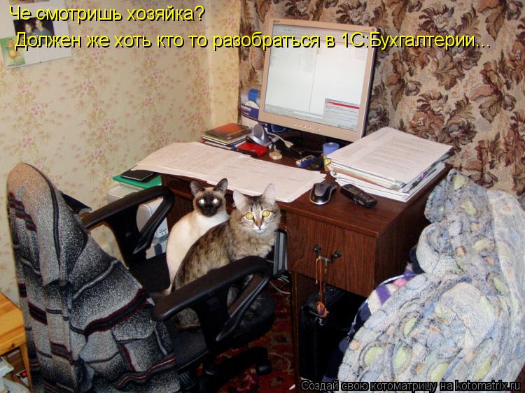 Че смотришь хозяйка? Должен же хоть кто то разобраться в 1С:Бухгалтерии...... Котоматрица: Че смотришь хозяйка? Должен же хоть кто то разобраться в 1С:Бухгалтерии...