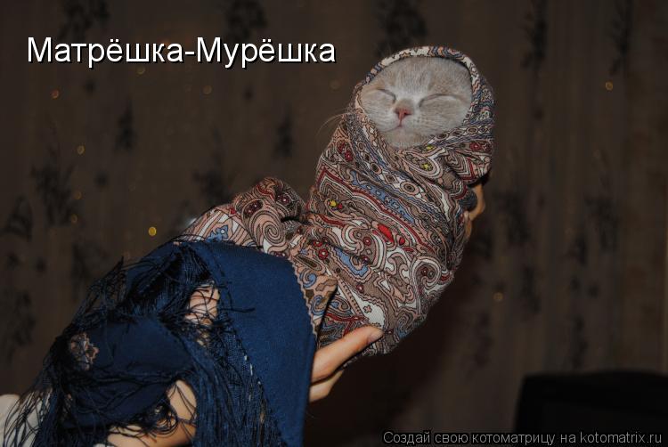 Матрёшка-Мурёшка... Котоматрица: Матрёшка-Мурёшка