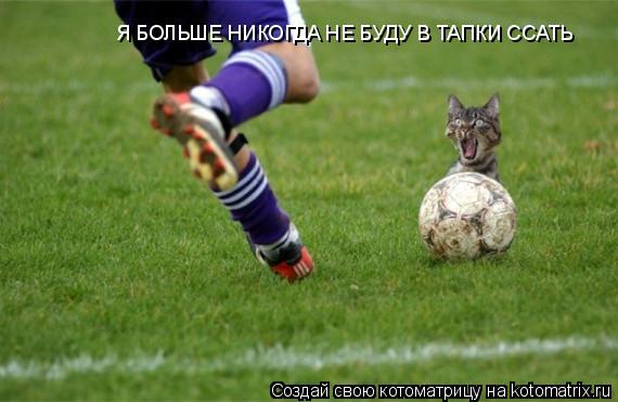 Я БОЛЬШЕ НИКОГДА НЕ БУДУ В ТАПКИ ССАТЬ... Котоматрица: Я БОЛЬШЕ НИКОГДА НЕ БУДУ В ТАПКИ ССАТЬ