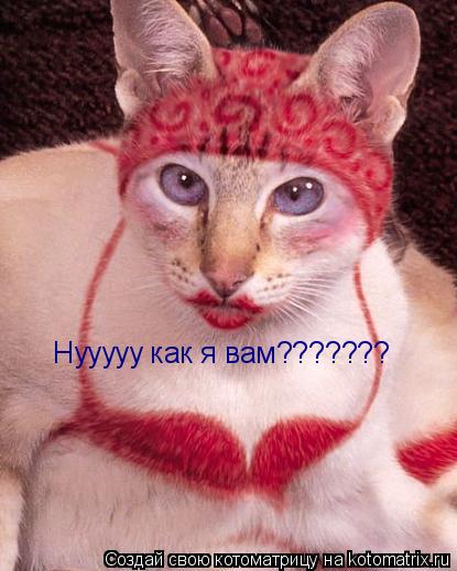 Нууууу как я вам???????... Котоматрица: Нууууу как я вам???????
