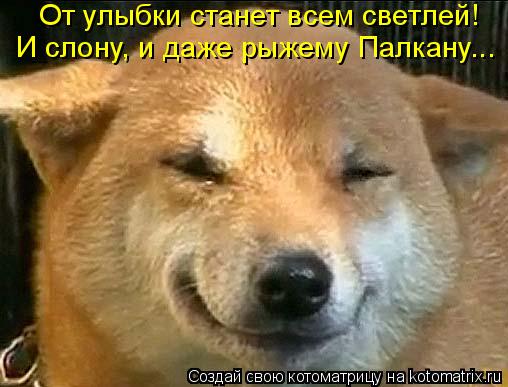От улыбки станет всем светлей! И слону, и даже рыжему Палкану...... Котоматрица: От улыбки станет всем светлей! И слону, и даже рыжему Палкану...