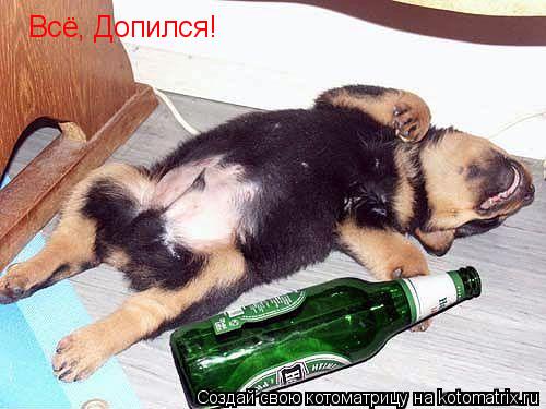 Всё, Допился!... Котоматрица: Всё, Допился!