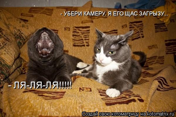 - ЛЯ-ЛЯ-ЛЯ!!!!! - УБЕРИ КАМЕРУ. Я ЕГО ЩАС ЗАГРЫЗУ...... Котоматрица: - ЛЯ-ЛЯ-ЛЯ!!!!! - УБЕРИ КАМЕРУ. Я ЕГО ЩАС ЗАГРЫЗУ...