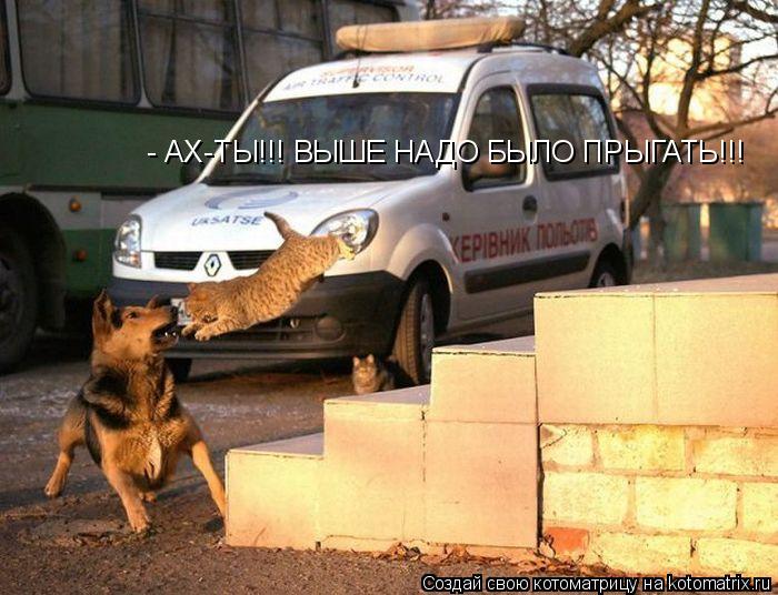 - АХ-ТЫ!!! ВЫШЕ НАДО БЫЛО ПРЫГАТЬ!!!... Котоматрица: - АХ-ТЫ!!! ВЫШЕ НАДО БЫЛО ПРЫГАТЬ!!!