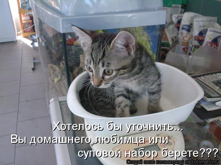 суповой набор берете??? Вы домашнего любимца или Хотелось бы уточнить...... Котоматрица: суповой набор берете??? Вы домашнего любимца или Хотелось бы уточнить...