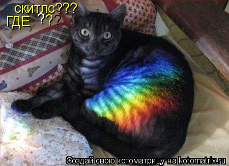 скитлс??? ГДЕ ? ? ?... Котоматрица: скитлс??? ГДЕ ? ? ?