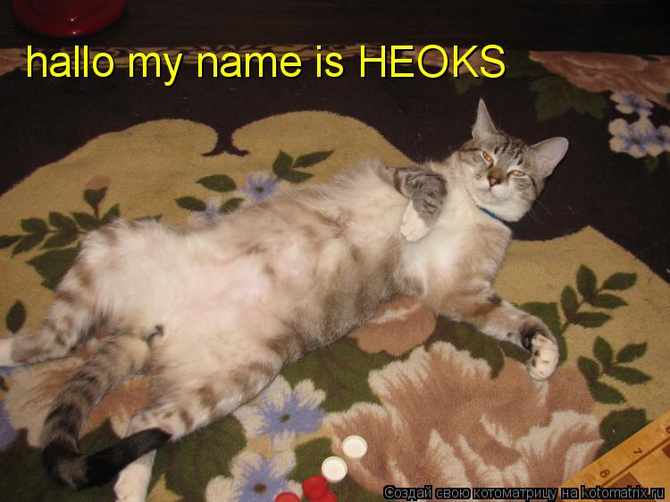 hallo my name is HEOKS... Котоматрица: hallo my name is HEOKS