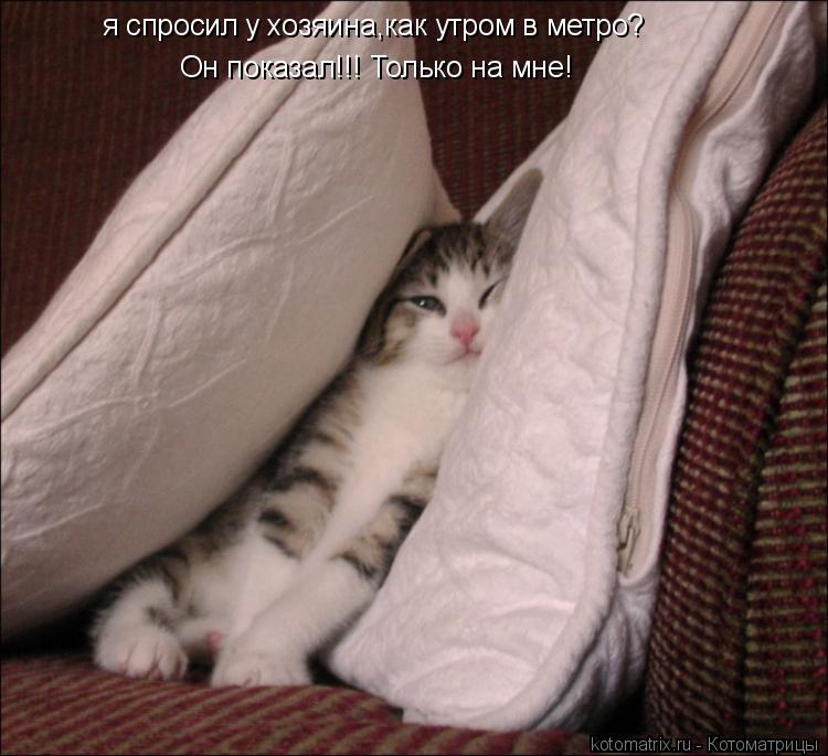 я спросил у хозяина,как утром в метро? Он показал!!! Только на мне!... Котоматрица: я спросил у хозяина,как утром в метро? Он показал!!! Только на мне!