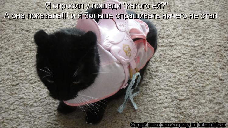 Я спросил у лошади:"какого ей?" А она показала!!! и я больше спрашивать ничего не стал.... Котоматрица: Я спросил у лошади:"какого ей?" А она показала!!! и я больше спрашивать ничего не стал.