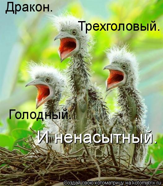 Дракон. Трехголовый. Голодный. И ненасытный.... Котоматрица: Дракон. Трехголовый. Голодный. И ненасытный.