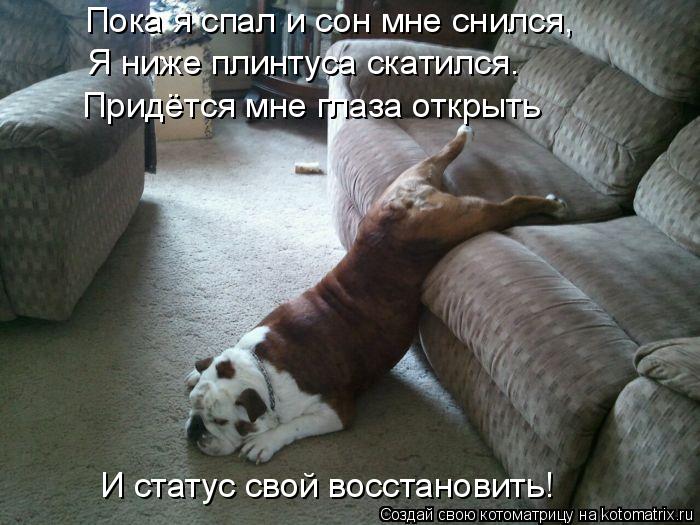 Пока я спал и сон мне снился, Я ниже плинтуса скатился. Придётся мне глаза открыть И статус свой восс... Котоматрица: Пока я спал и сон мне снился, Я ниже плинтуса скатился. Придётся мне глаза открыть И статус свой восстановить!