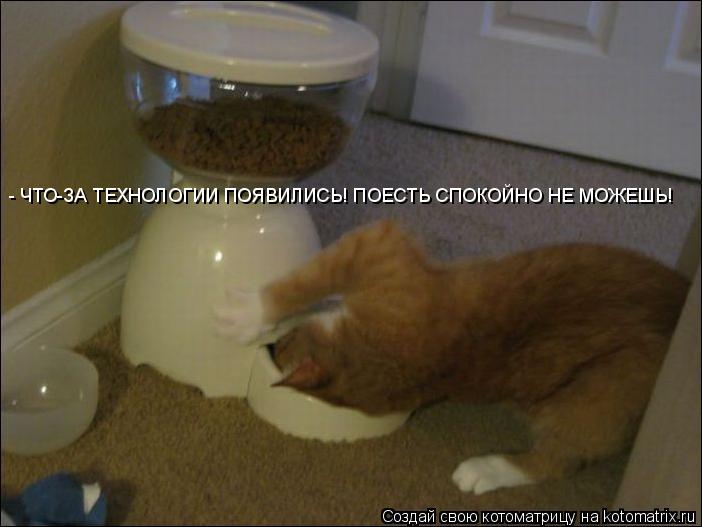 - ЧТО-ЗА ТЕХНОЛОГИИ ПОЯВИЛИСЬ! ПОЕСТЬ СПОКОЙНО НЕ МОЖЕШЬ!... Котоматрица: - ЧТО-ЗА ТЕХНОЛОГИИ ПОЯВИЛИСЬ! ПОЕСТЬ СПОКОЙНО НЕ МОЖЕШЬ!