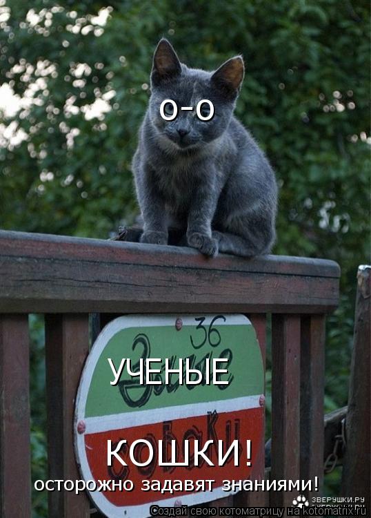 КОШКИ! о-о УЧЕНЫЕ осторожно задавят знаниями!... Котоматрица: КОШКИ! о-о УЧЕНЫЕ осторожно задавят знаниями!