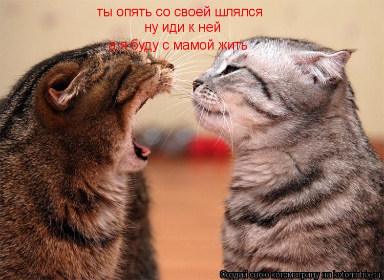 ты опять со своей шлялся ну иди к ней а я буду с мамой жить... Котоматрица: ты опять со своей шлялся ну иди к ней а я буду с мамой жить