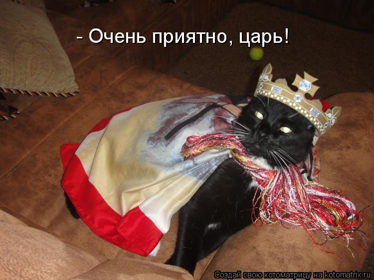 - Очень приятно, царь!... Котоматрица: - Очень приятно, царь!