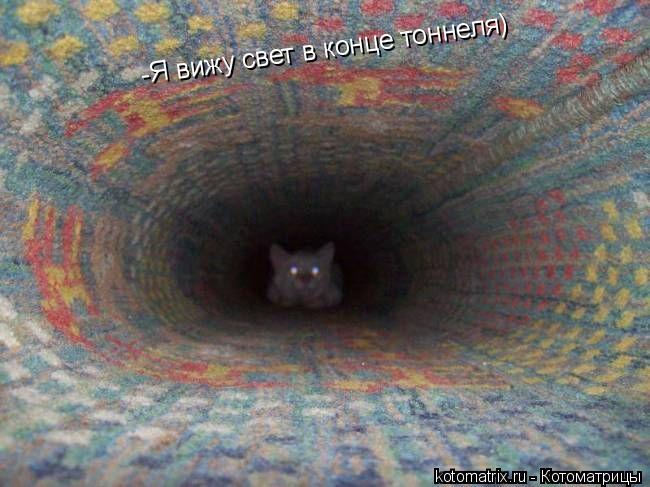 -Я вижу свет в конце тоннеля)... Котоматрица: -Я вижу свет в конце тоннеля)
