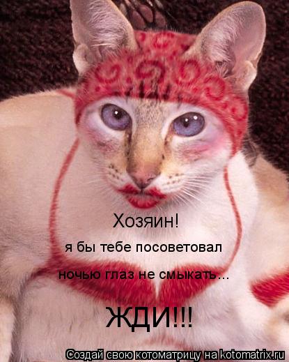Хозяин! я бы тебе посоветовал ночью глаз не смыкать... ЖДИ!!!... Котоматрица: Хозяин! я бы тебе посоветовал ночью глаз не смыкать... ЖДИ!!!