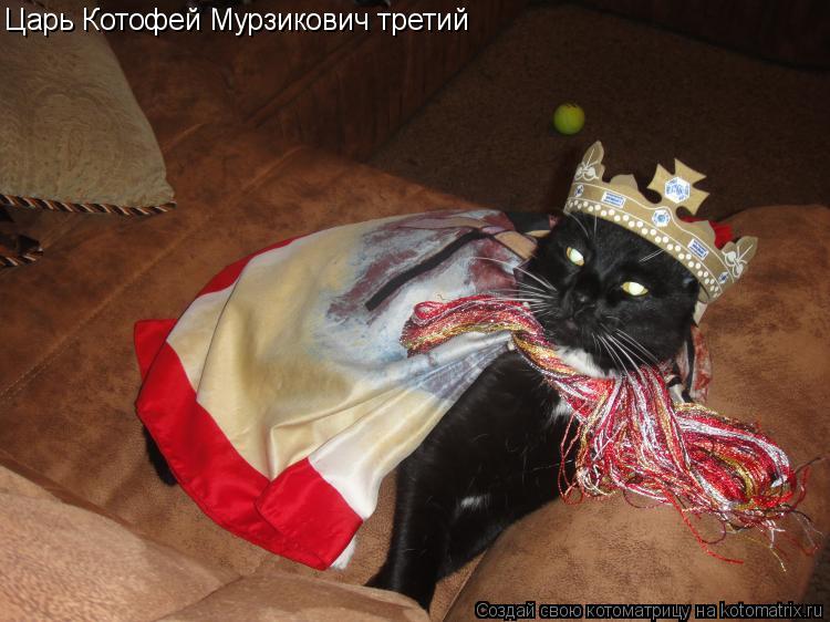 Царь Котофей Мурзикович третий... Котоматрица: Царь Котофей Мурзикович третий