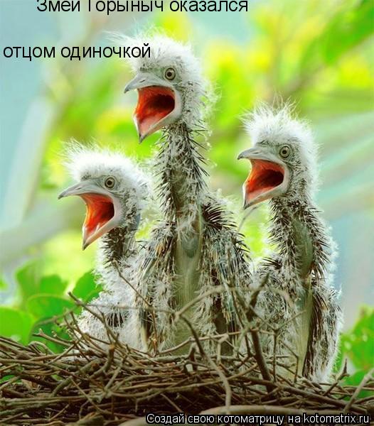 Змей Горыныч оказался отцом одиночкой... Котоматрица: Змей Горыныч оказался отцом одиночкой